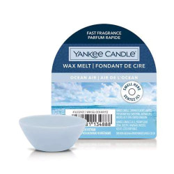 YC Ocean Air Wax Melt