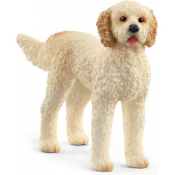 CHIEN GOLDENDOODLE