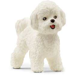 BICHON FRISE