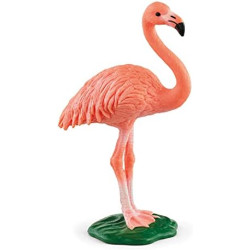 Flamant rose