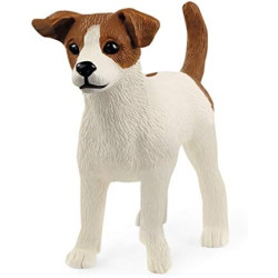 Jack Russell terrier