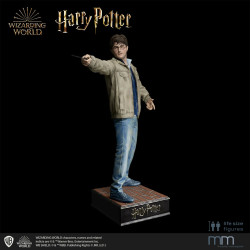 LIFE-SIZE FIGURE HARRY...