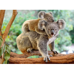 Puzzle F koala 200 p XXL